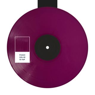MPO 리미티드 · 19 NP · P242C · 불투명